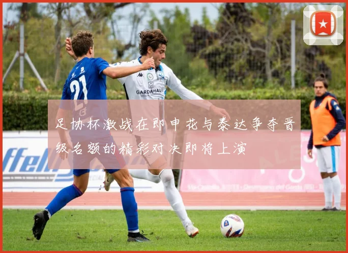 足协杯激战在即申花与泰达争夺晋级名额的精彩对决即将上演