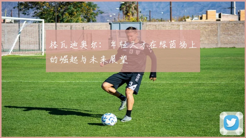 格瓦迪奥尔：年轻天才在绿茵场上的崛起与未来展望