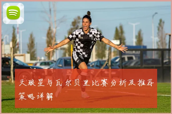 天狼星与瓦尔贝里比赛分析及推荐策略详解