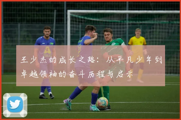 王少杰的成长之路：从平凡少年到卓越领袖的奋斗历程与启示