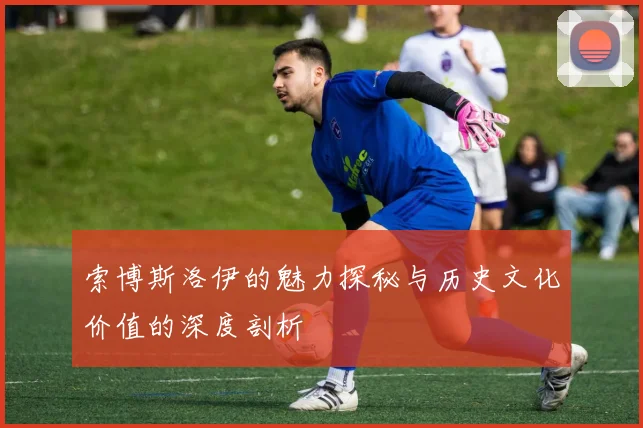 索博斯洛伊的魅力探秘与历史文化价值的深度剖析