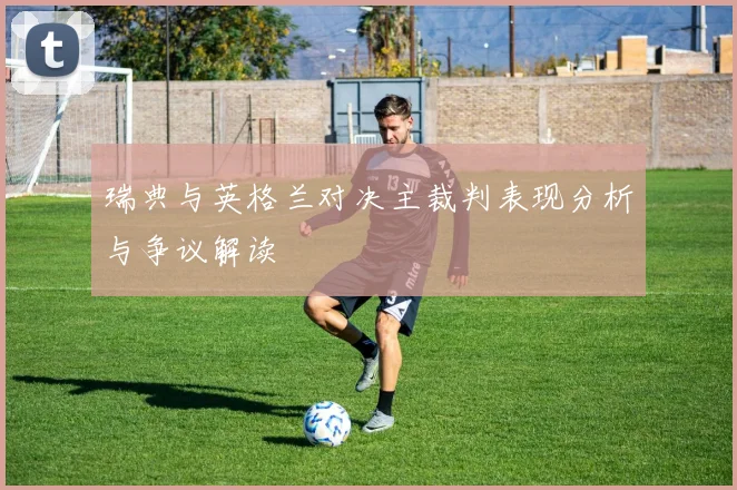 瑞典与英格兰对决主裁判表现分析与争议解读